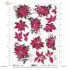 poinsecja, gwiazda betlejemska, kwiat, klimat Bożego Narodzenia, poinsettia, star of Bethlehem, flower, Christmas spirit, Weihnachtsstern, Stern von Bethlehem, Blume, Weihnachtsstimmung, poinsettia, estrella de Belén, flor